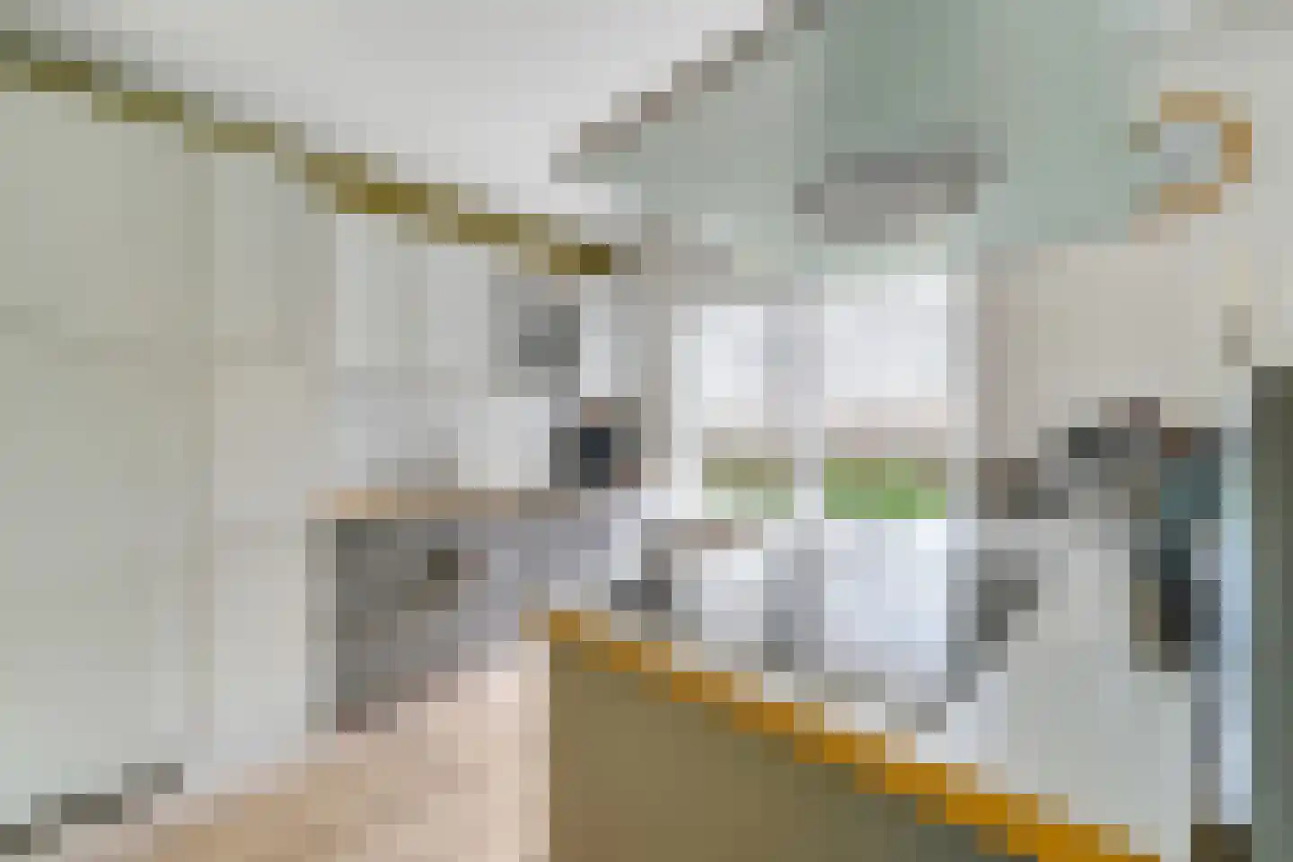 Kuyerhuislaan 30 Zwolle thumbnail 13