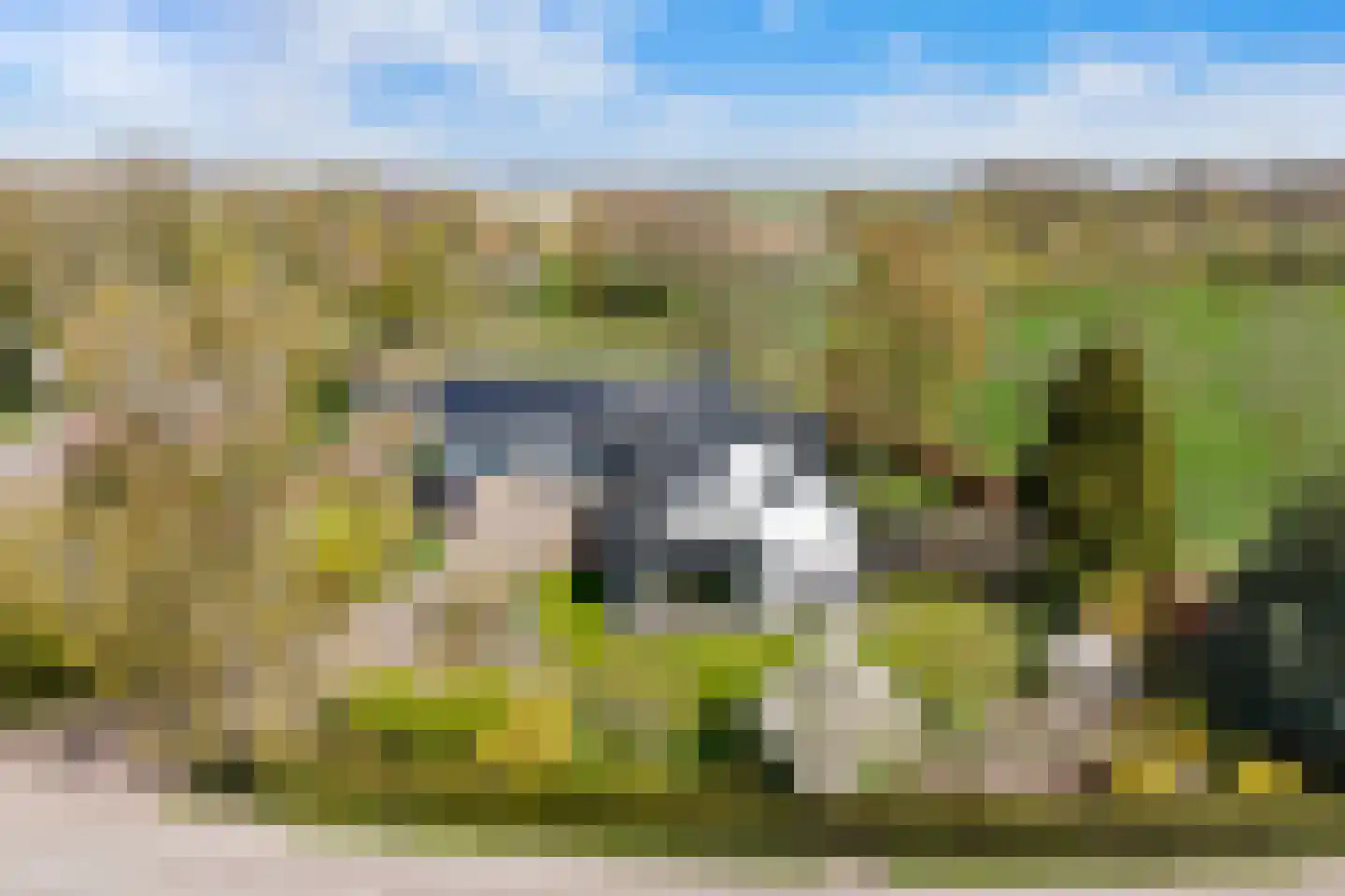 Kuyerhuislaan 30 Zwolle thumbnail 42