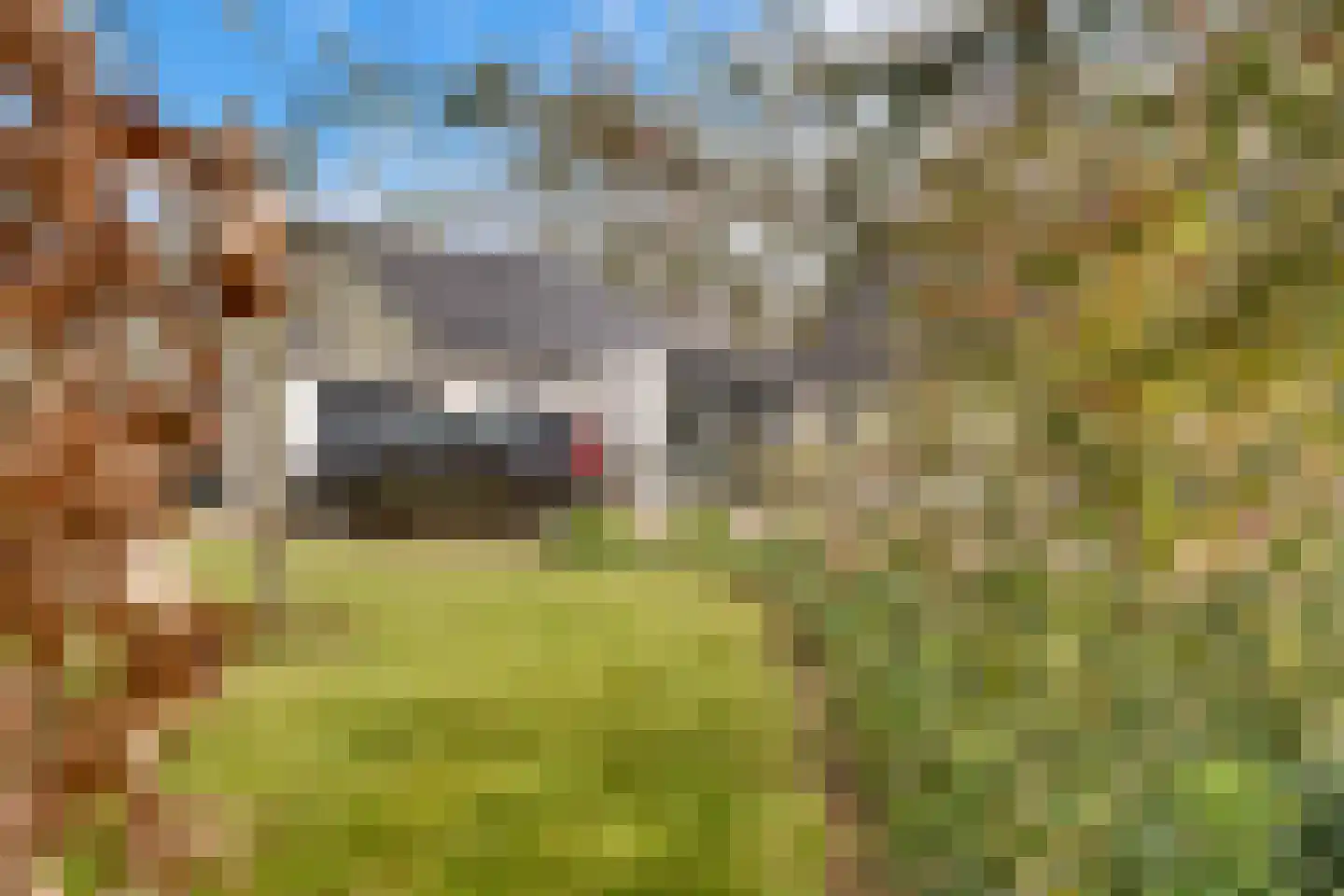 Kuyerhuislaan 30 Zwolle thumbnail 52
