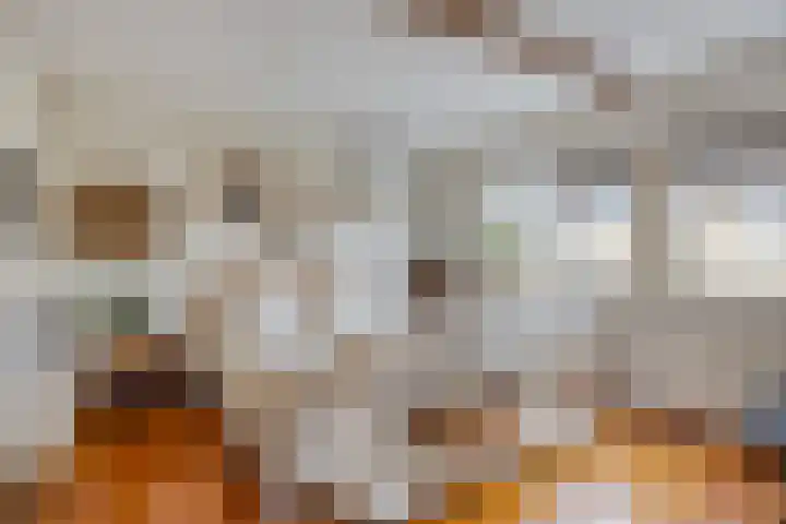 Kuyerpad 4 Abcoude thumbnail 12