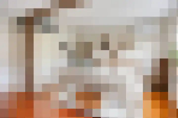 Kuyerpad 4 Abcoude thumbnail 13