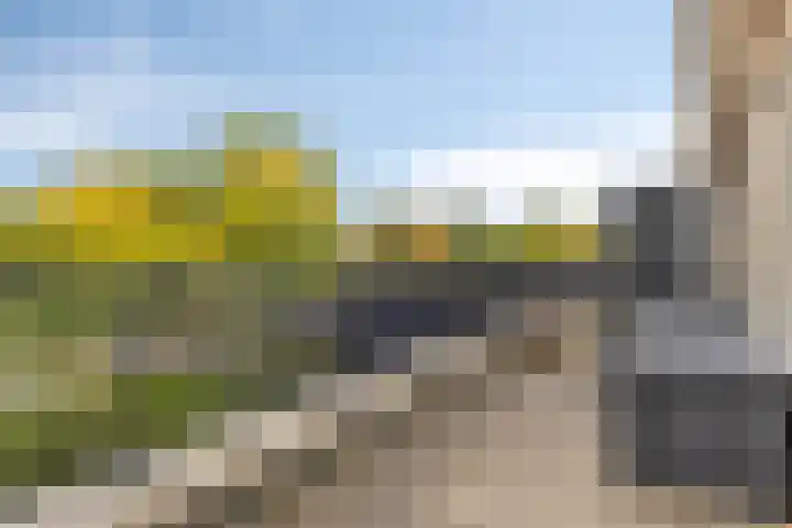 Kuyerpad 4 Abcoude thumbnail 23