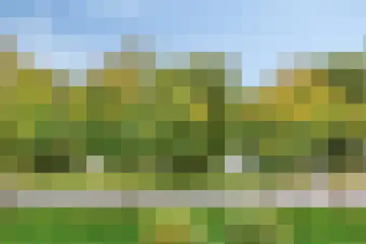 Kuyerpad 4 Abcoude thumbnail 25