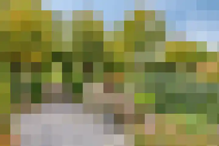 Kuyerpad 4 Abcoude thumbnail 29
