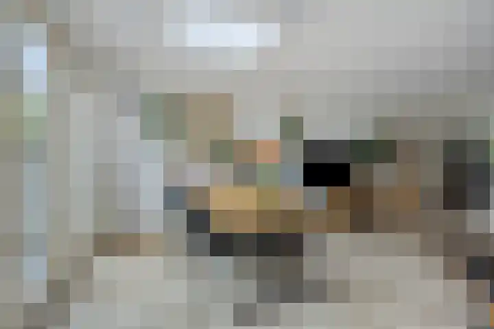 Kuyerpad 4 Abcoude thumbnail 8