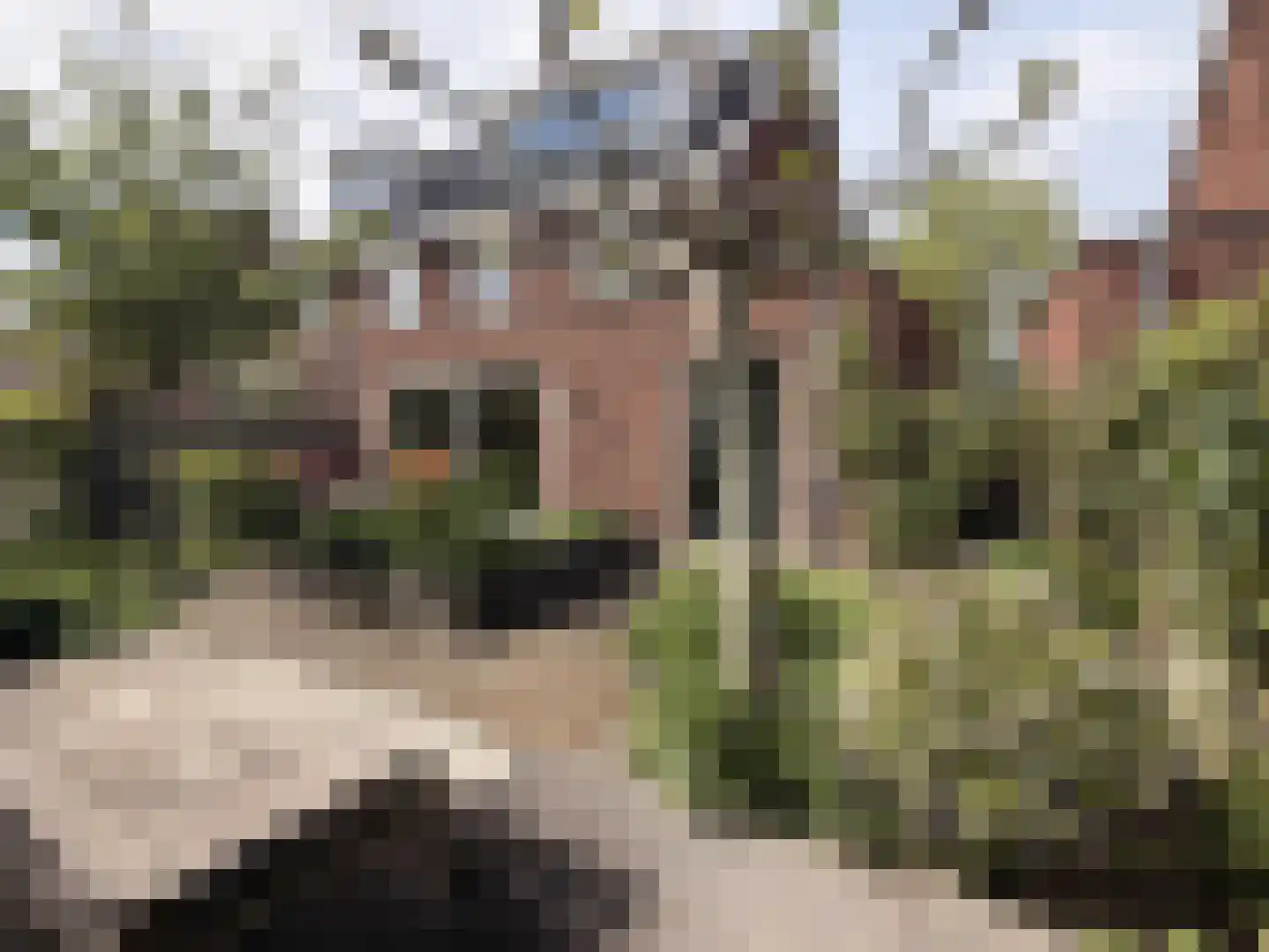 Kuyperbrink 20 Voorschoten thumbnail 19