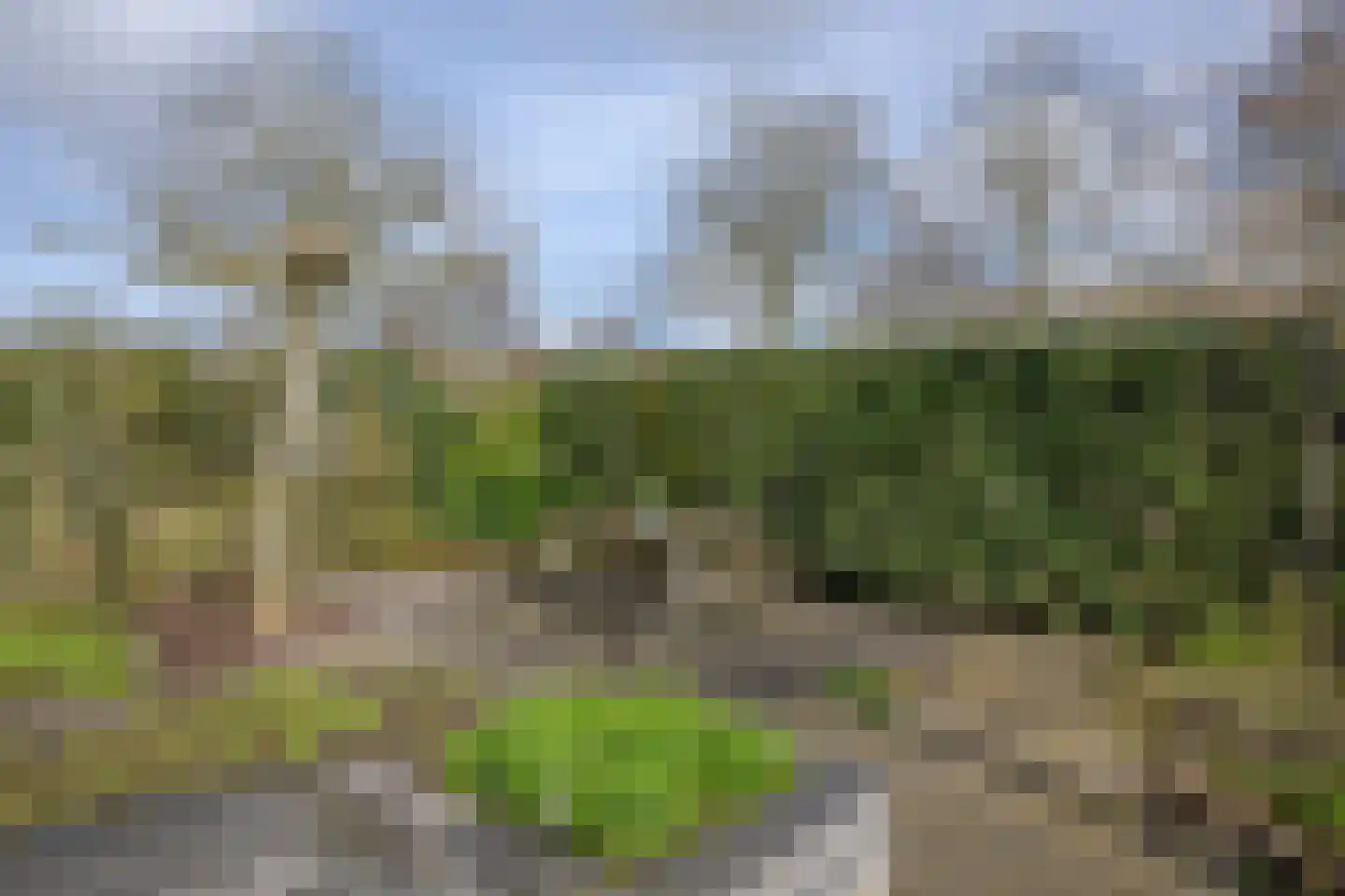 Kuyperbrink 20 Voorschoten thumbnail 26