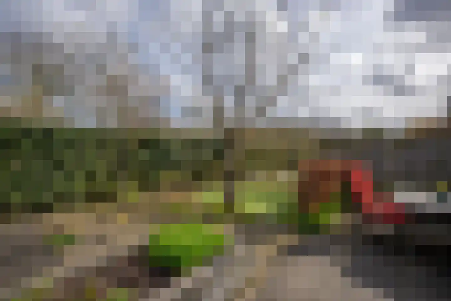 Kuyperbrink 20 Voorschoten thumbnail 28