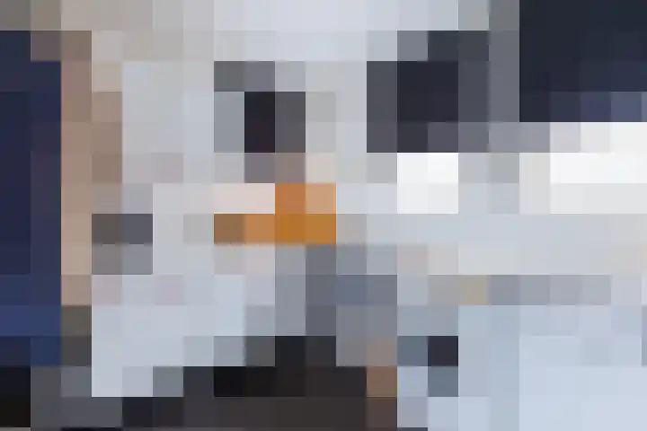 Kuyperlaan 13 Doetinchem thumbnail 14