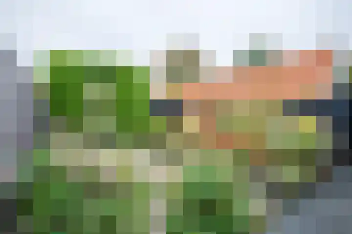 Kuyperlaan 13 Doetinchem thumbnail 18