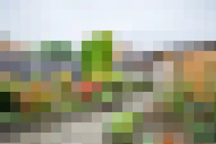 Kuyperlaan 13 Doetinchem thumbnail 19