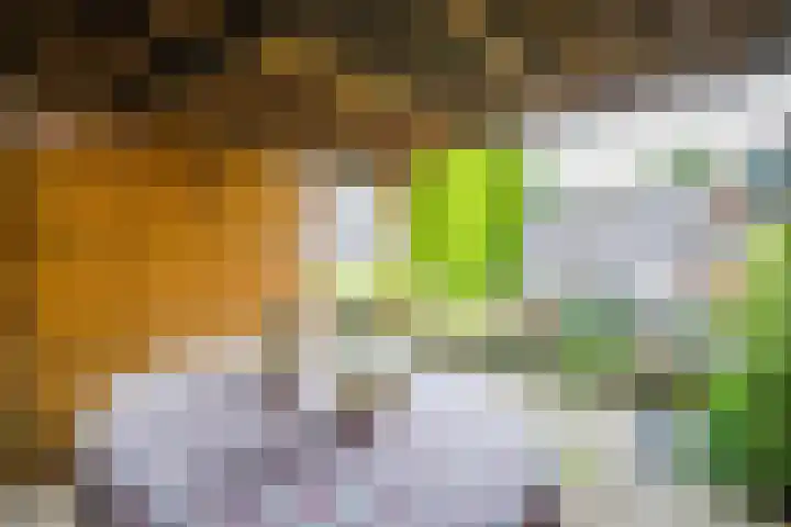 Kuyperlaan 13 Doetinchem thumbnail 21
