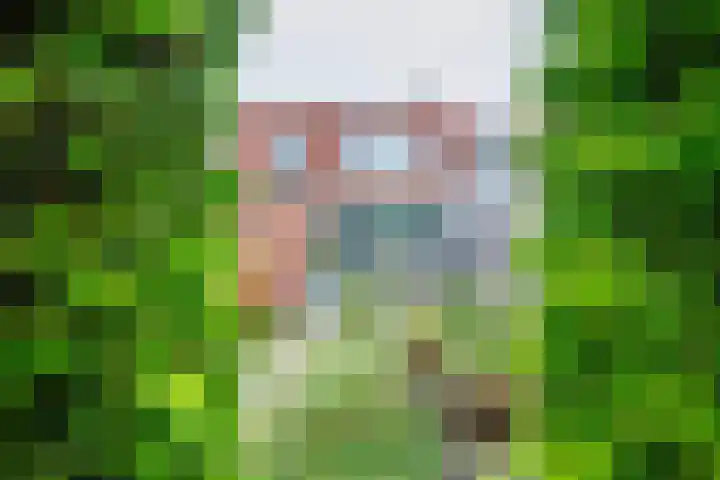 Kuyperlaan 13 Doetinchem thumbnail 24