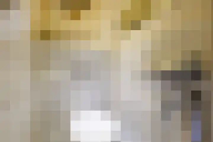 Kuyperlaan 13 Doetinchem thumbnail 30