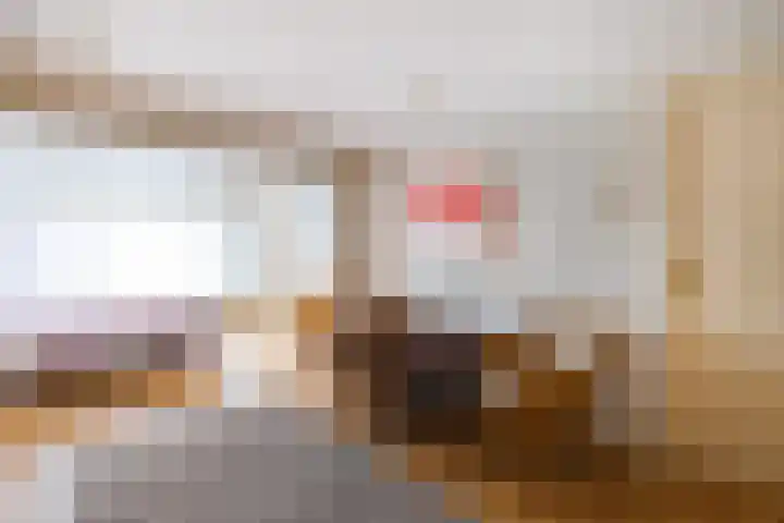 Kuyperlaan 13 Doetinchem thumbnail 35