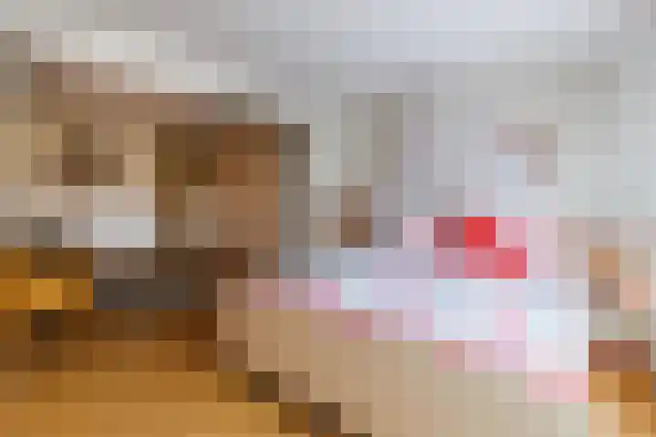 Kuyperlaan 13 Doetinchem thumbnail 37