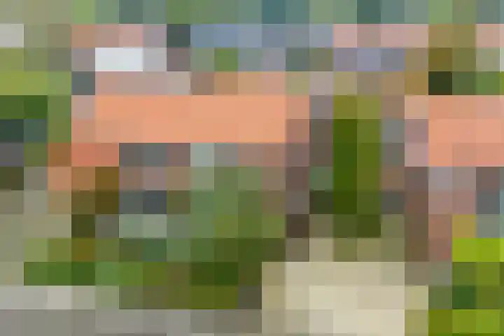 Kuyperlaan 13 Doetinchem thumbnail 47