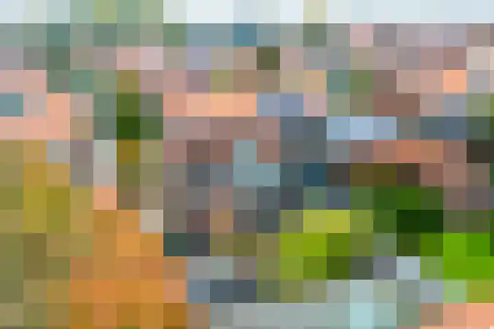 Kuyperlaan 13 Doetinchem thumbnail 49