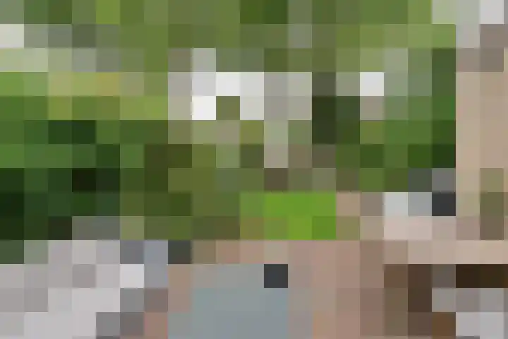Kuyperlaan 15 Naarden thumbnail 10