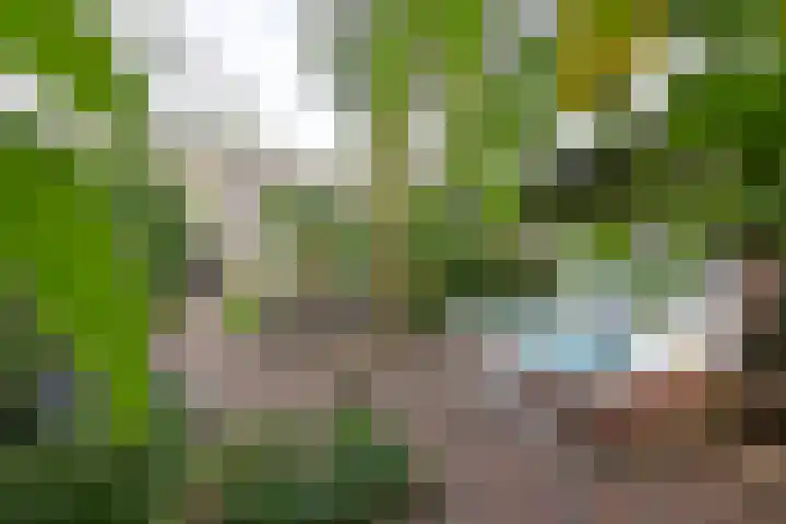 Kuyperlaan 15 Naarden thumbnail 19