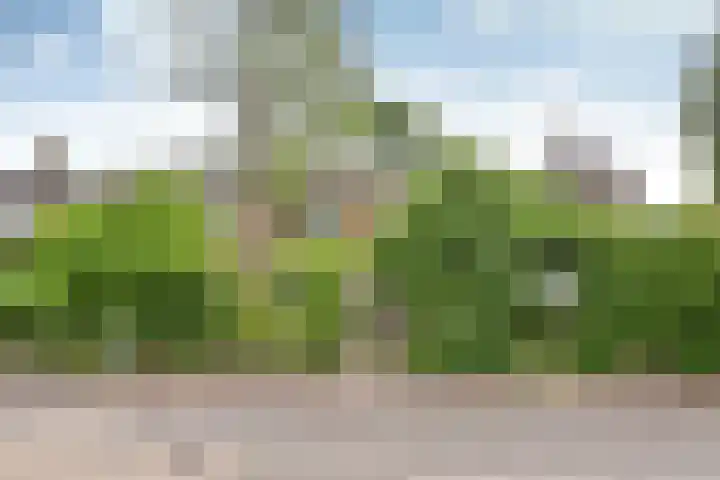 Kuyperlaan 15 Naarden thumbnail 25