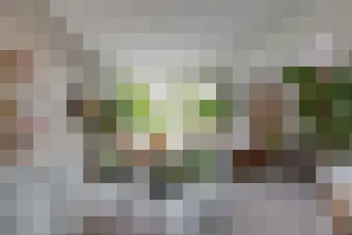 Kuyperlaan 17 Doetinchem thumbnail 10