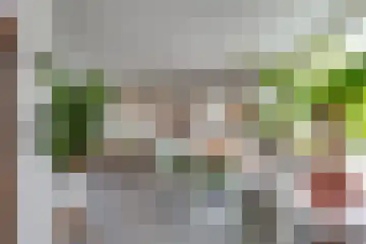 Kuyperlaan 17 Doetinchem thumbnail 12