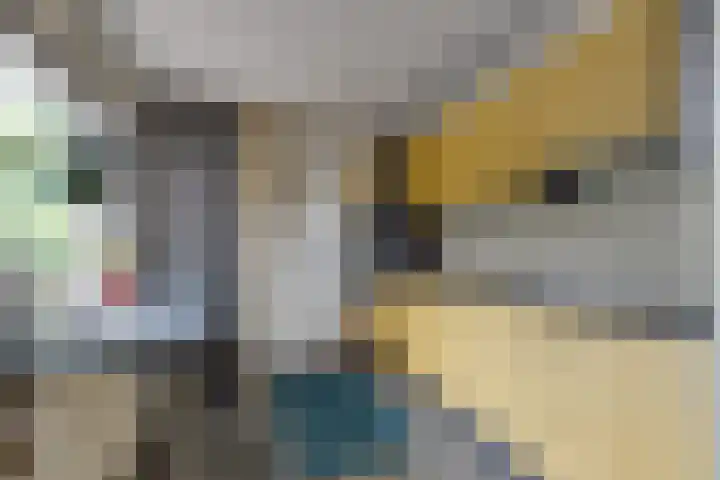 Kuyperlaan 17 Doetinchem thumbnail 14