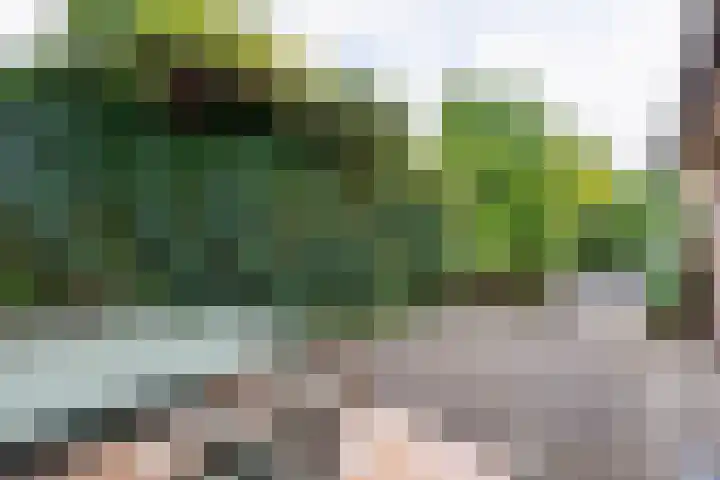 Kuyperlaan 17 Doetinchem thumbnail 32