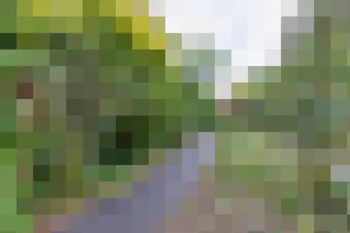 Kuyperlaan 17 Doetinchem thumbnail 39