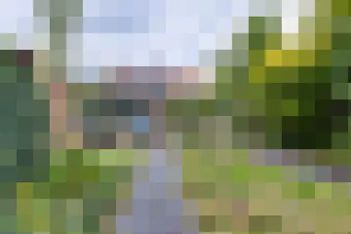 Kuyperlaan 17 Doetinchem thumbnail 41