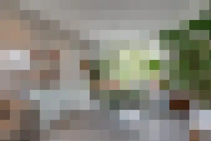 Kuyperlaan 17 Doetinchem thumbnail 9