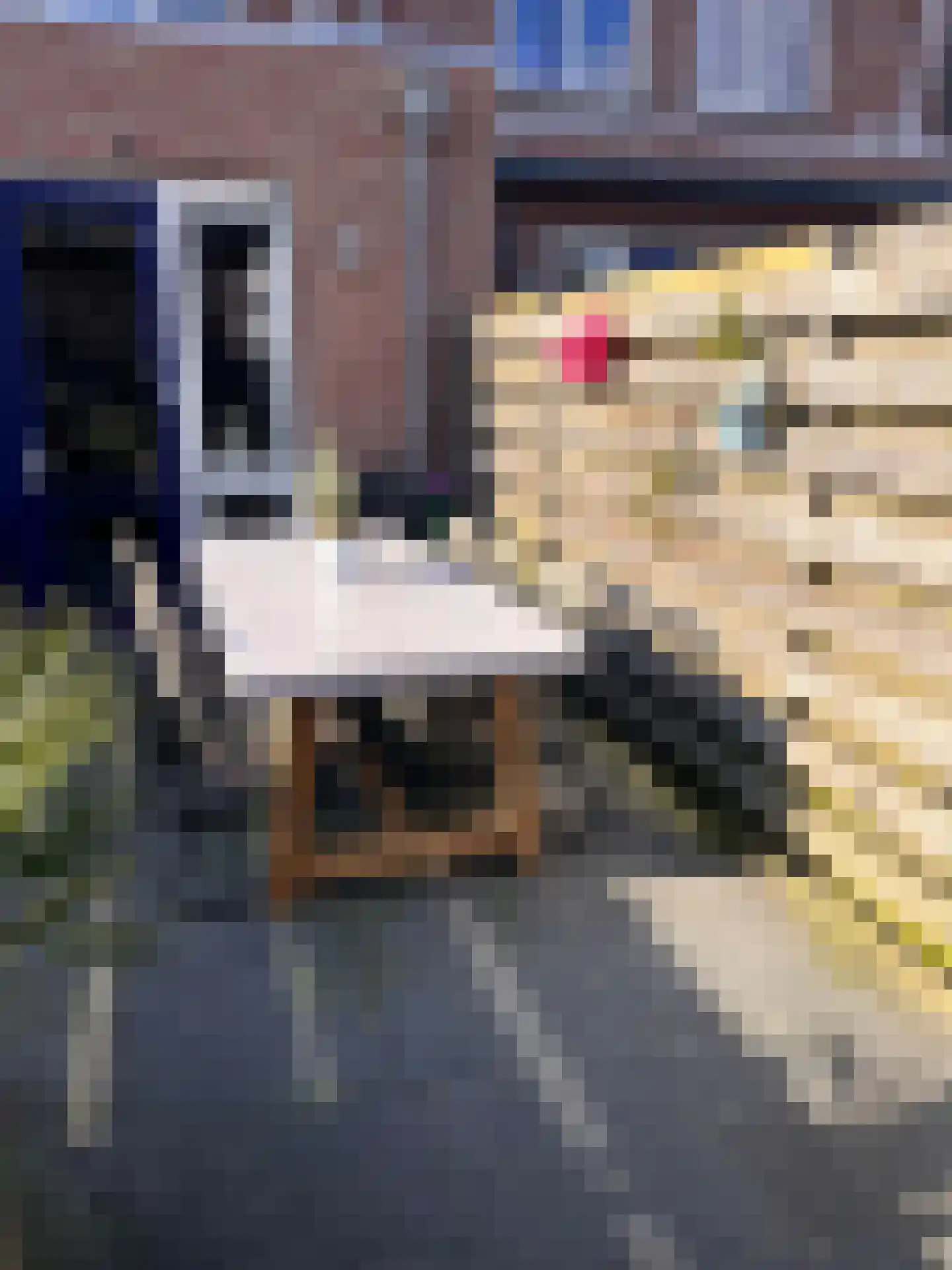 Kuyperlaan 2 C Baarn thumbnail 32