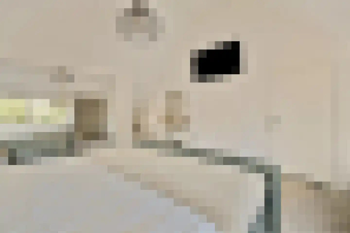 Kuyperlaan 20 Zwanenburg thumbnail 33
