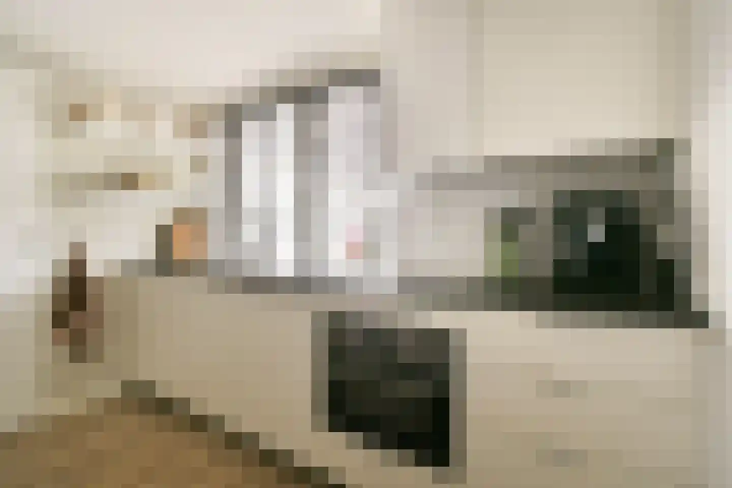 Kuyperlaan 20 Zwanenburg thumbnail 48