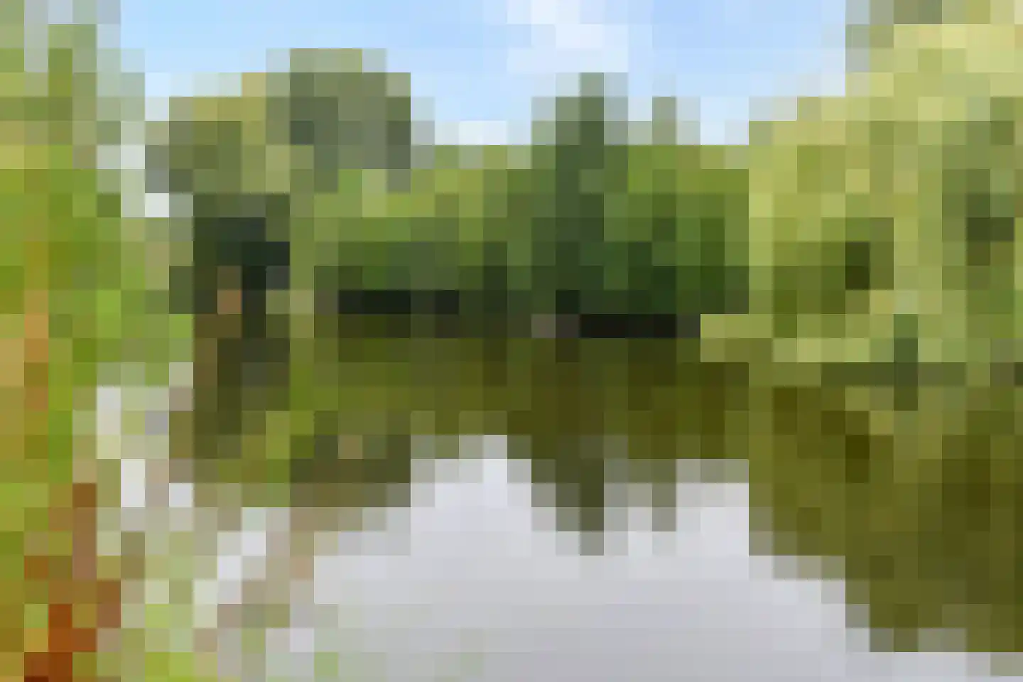 Kuyperlaan 20 Zwanenburg thumbnail 62