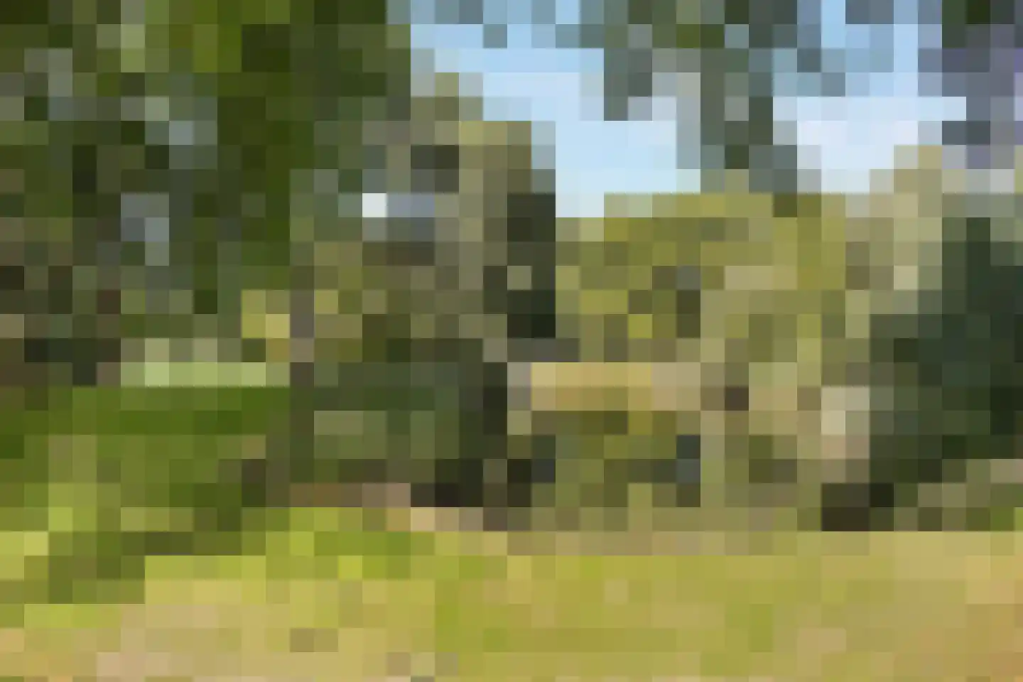 Kuyperlaan 20 Zwanenburg thumbnail 64