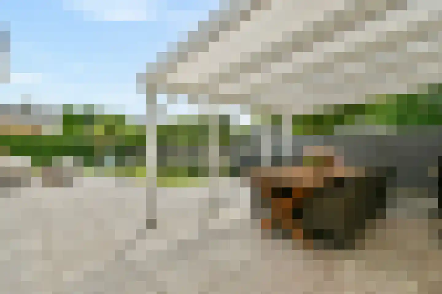 Kuyperlaan 20 Zwanenburg thumbnail 7