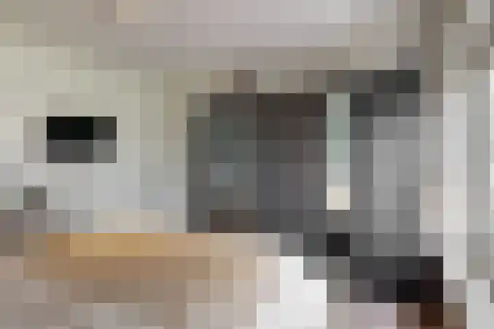 Kuyperlaan 23 Uithoorn thumbnail 21