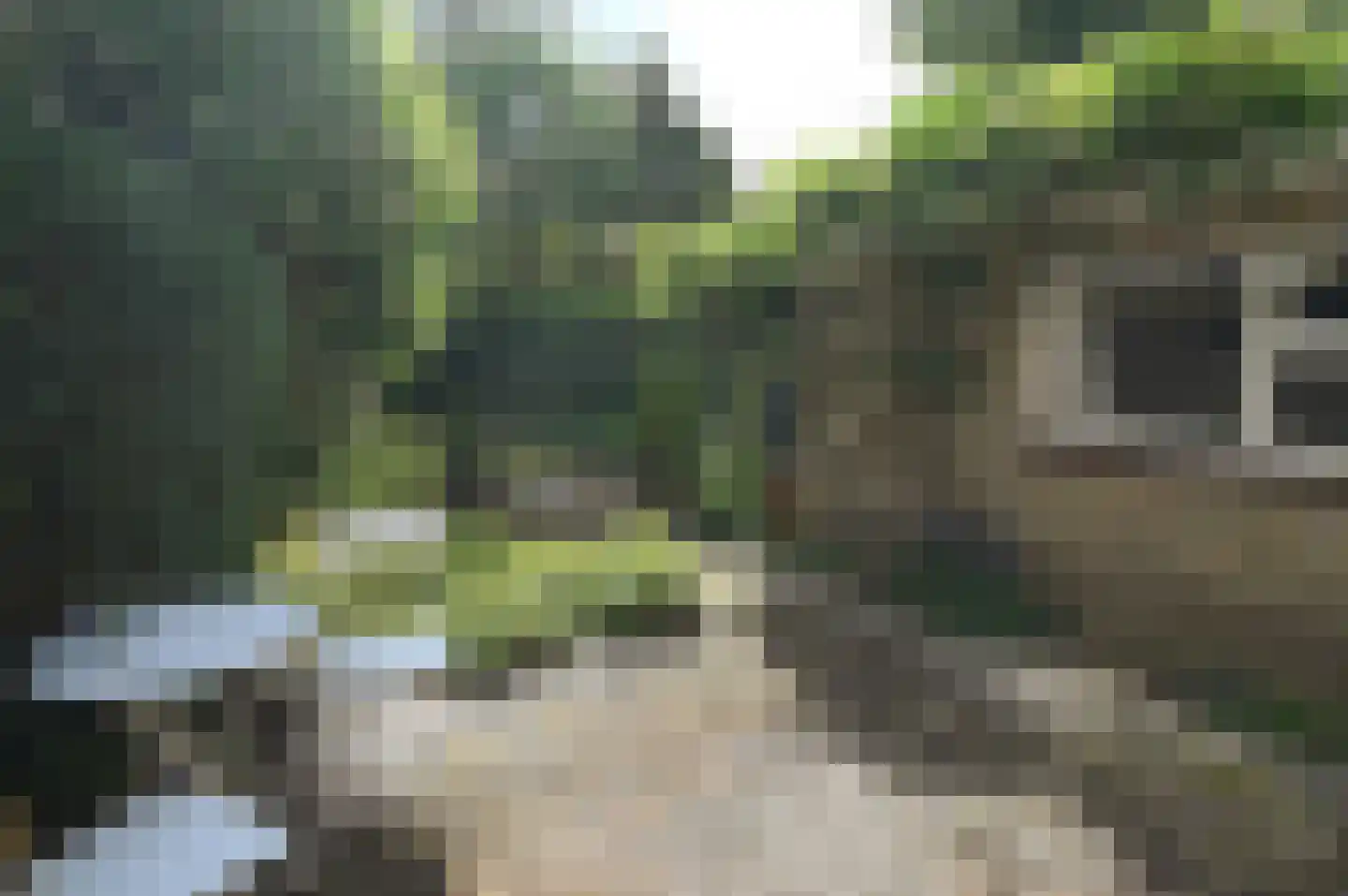 Kuyperlaan 27 Naarden thumbnail 22