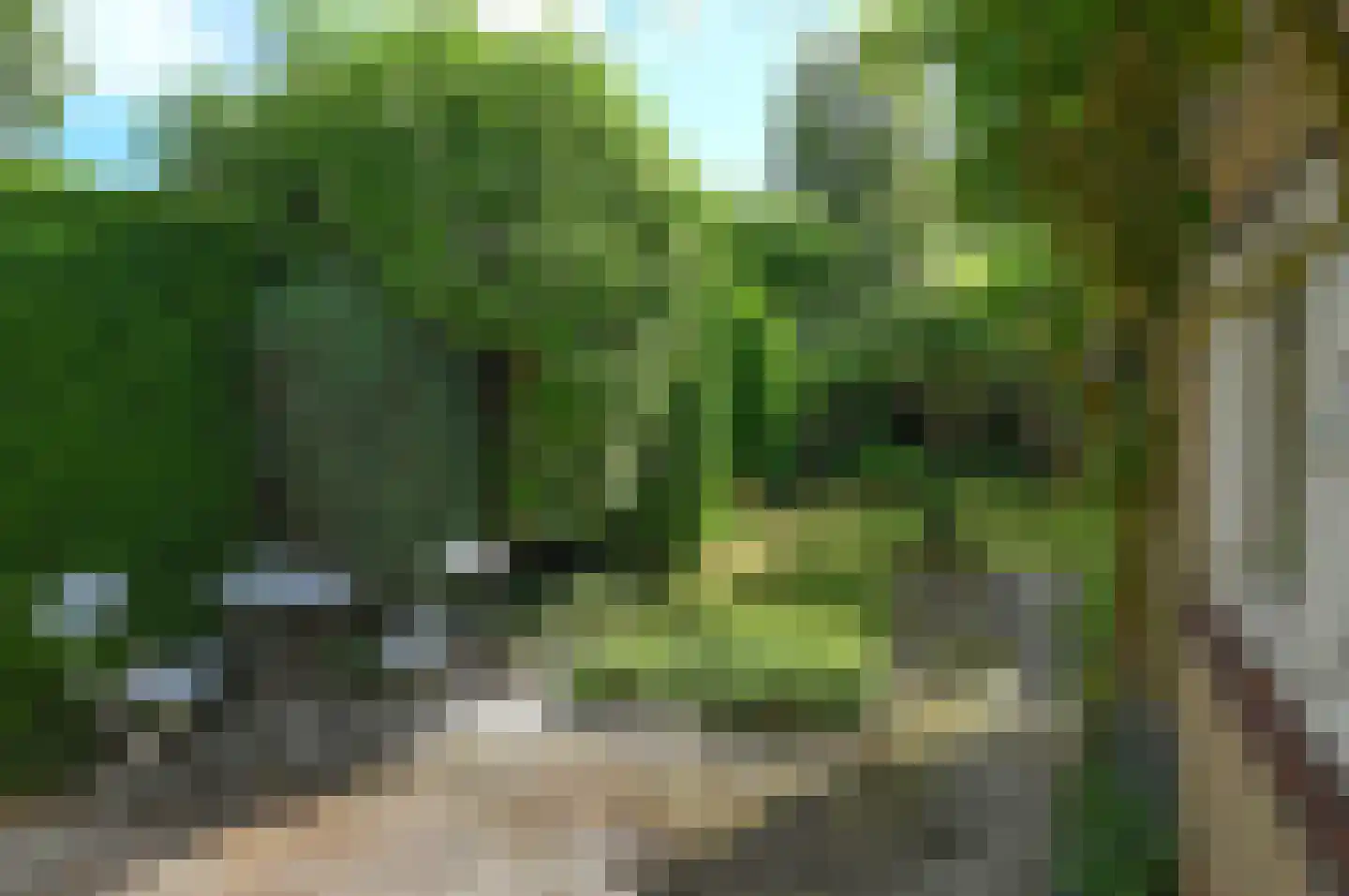 Kuyperlaan 27 Naarden thumbnail 23