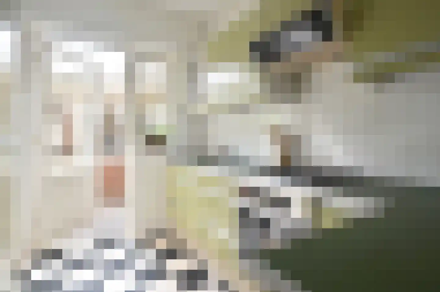 Kuyperlaan 27 Naarden thumbnail 9