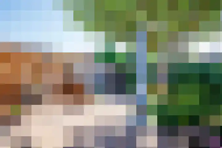 Kuyperlaan 9 Doetinchem thumbnail 13