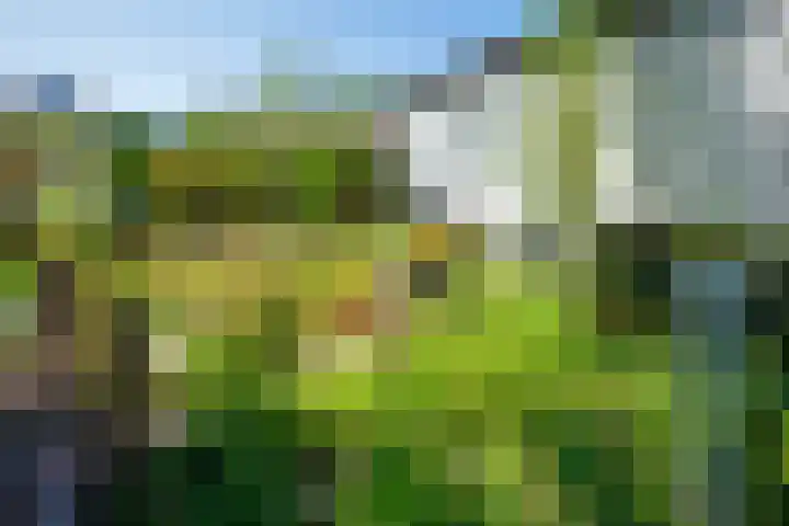 Kuyperlaan 9 Doetinchem thumbnail 17