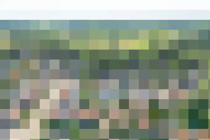 Kuyperlaan 9 Doetinchem thumbnail 44