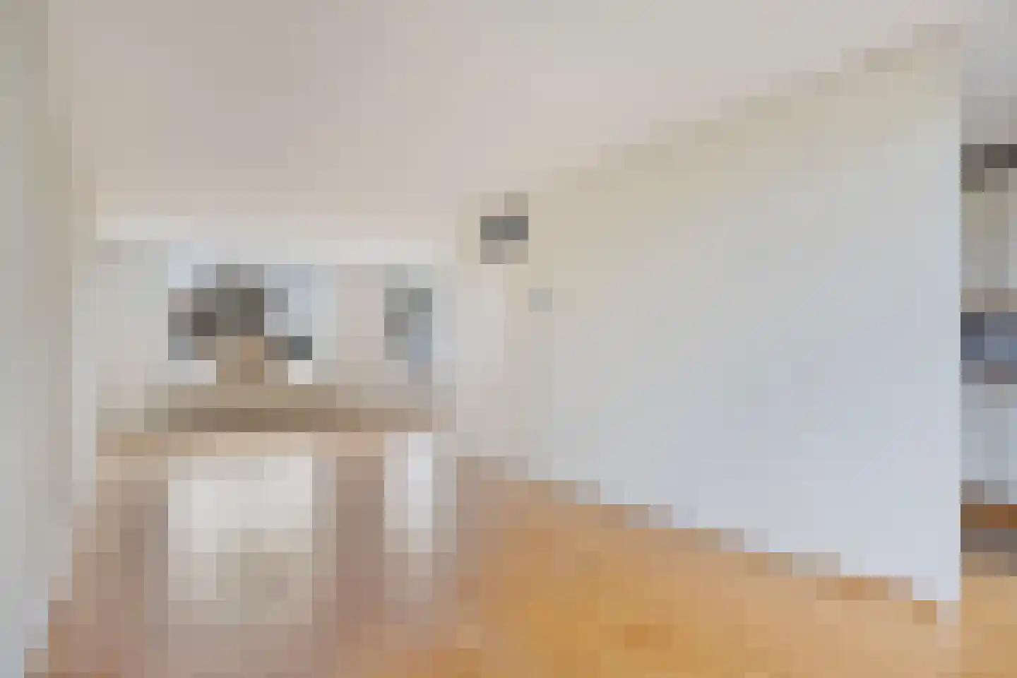 Kuyperlaan 9 Vlijmen thumbnail 11