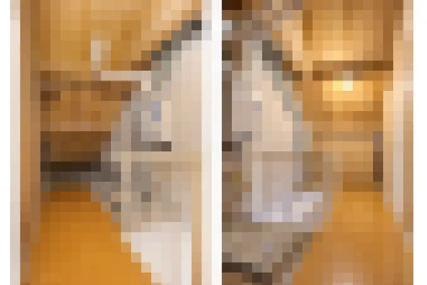 Kuyperlaan 9 Vlijmen thumbnail 23