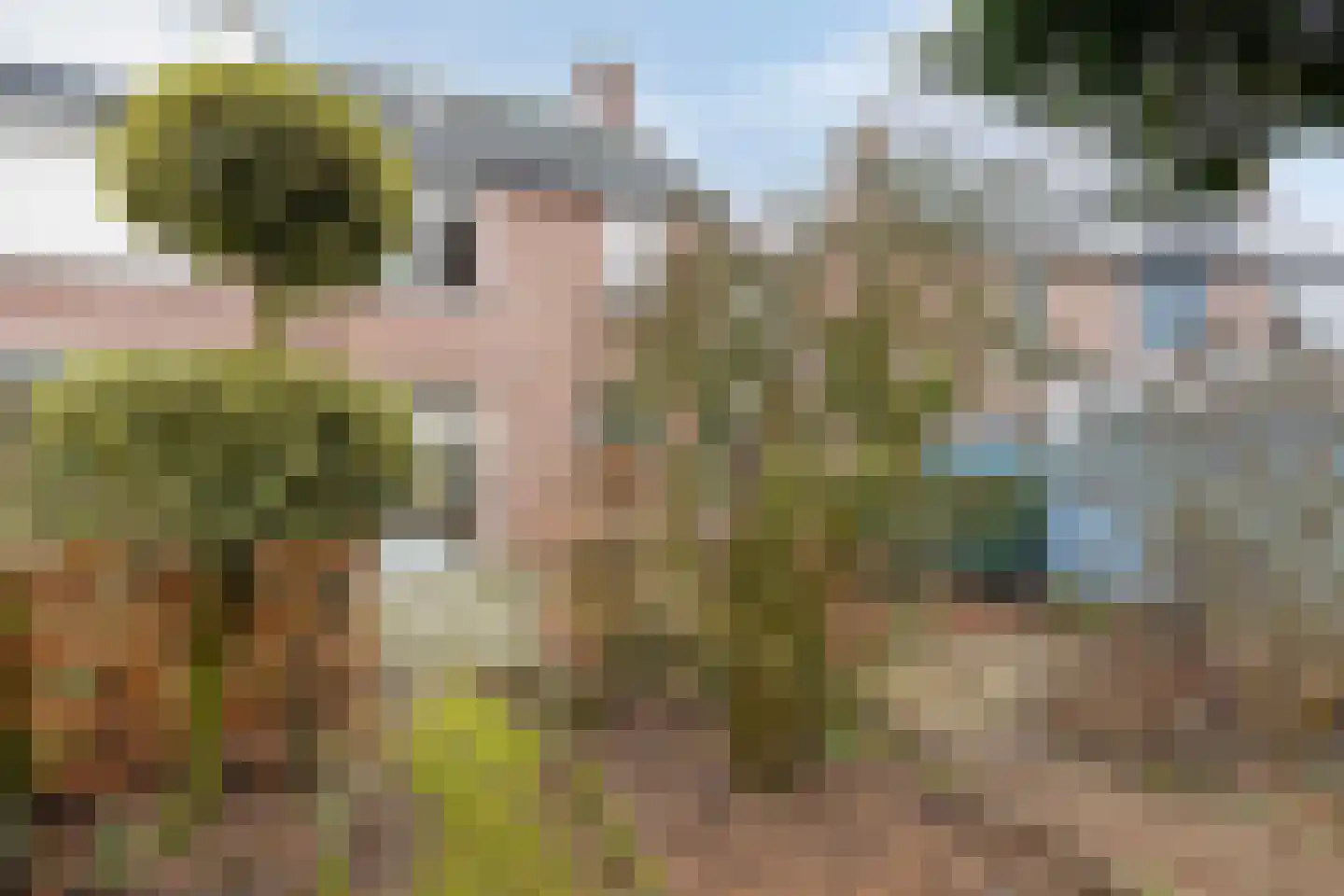 Kuyperlaan 9 Vlijmen thumbnail 26