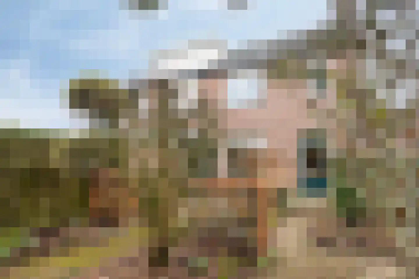 Kuyperlaan 9 Vlijmen thumbnail 28