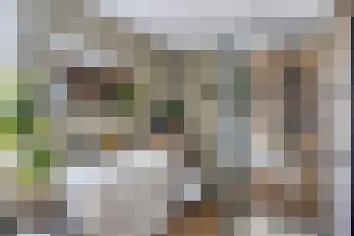 Kuypershof 12 Kessel thumbnail 19